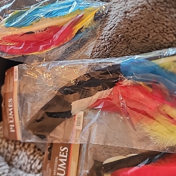 Bundle of feathers - Picture 5 of 5